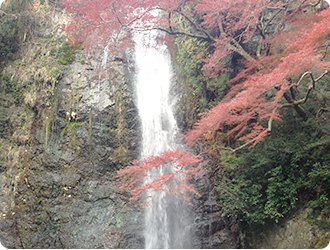 紅葉の箕面大滝